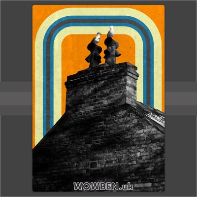 Seagulls • Wowben.uk