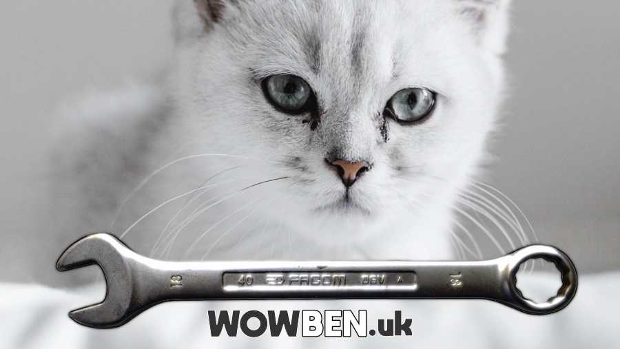 Social media animation and content for your business promotion in Scarborough, York, Leeds, Yorkshire and UK