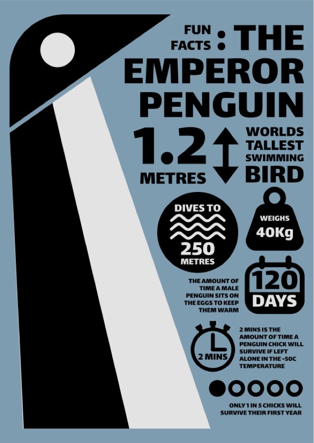 Emporer Penguin InfoGraphic • Wowben.uk